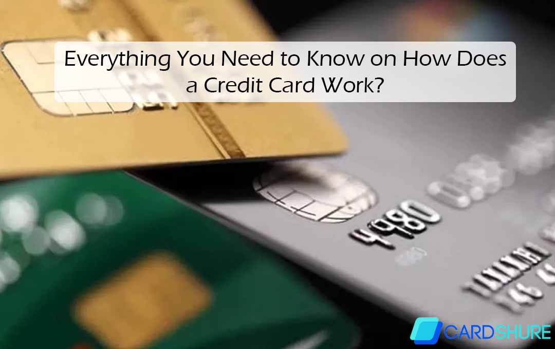 Everything You Need to Know on How Does a Credit Card Work?