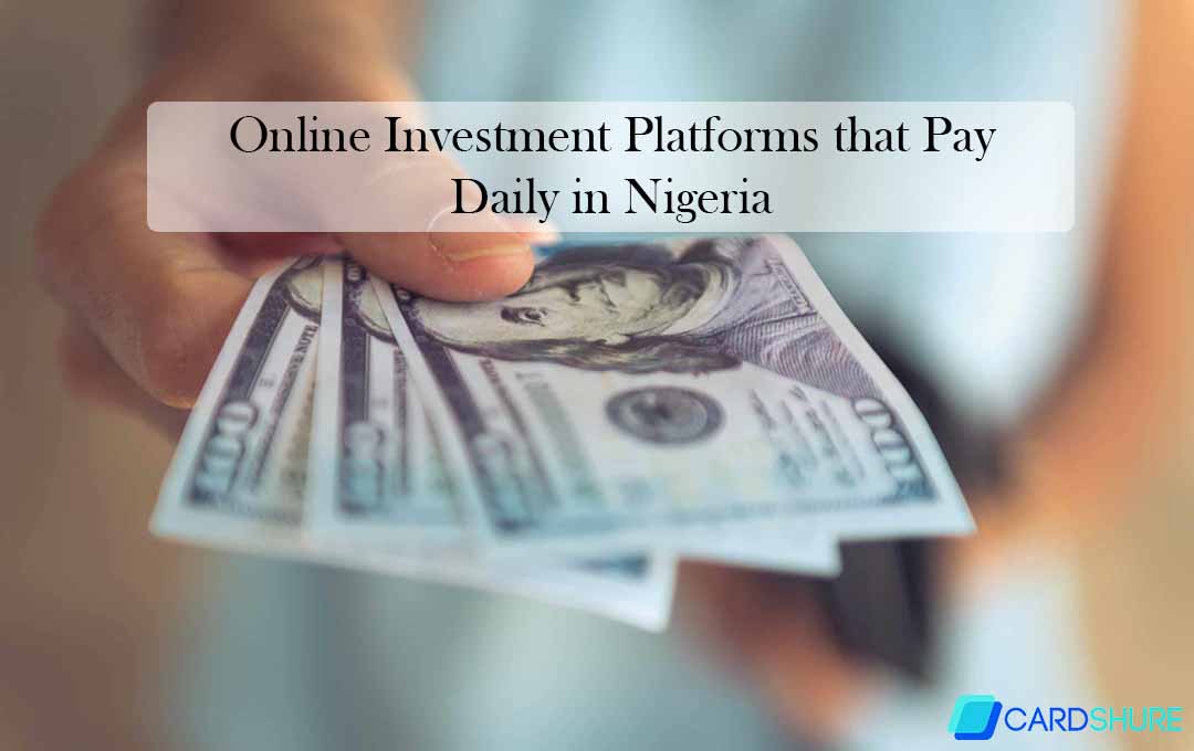 Online Investment Platforms that Pay Daily in Nigeria