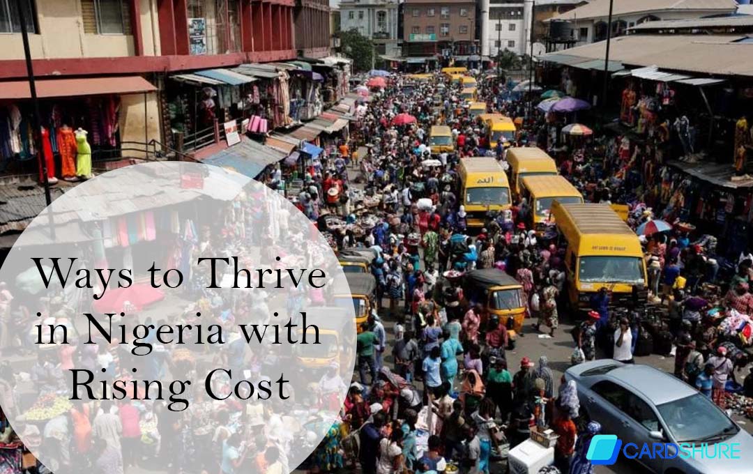 Ways to Thrive in Nigeria with Rising Cost