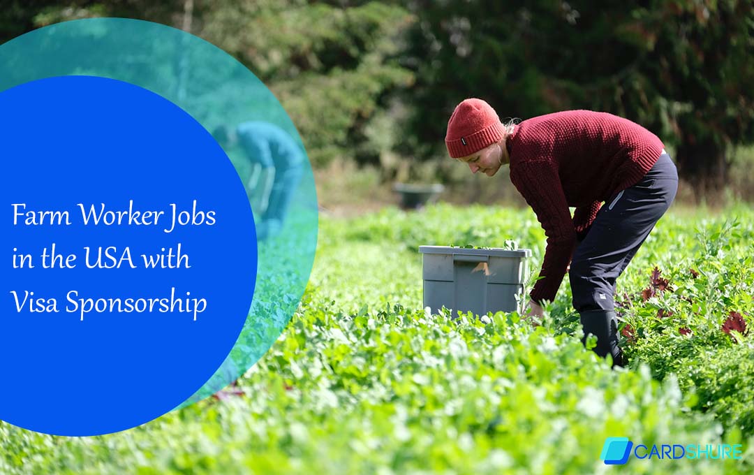 Farm Worker Jobs in the USA with Visa Sponsorship
