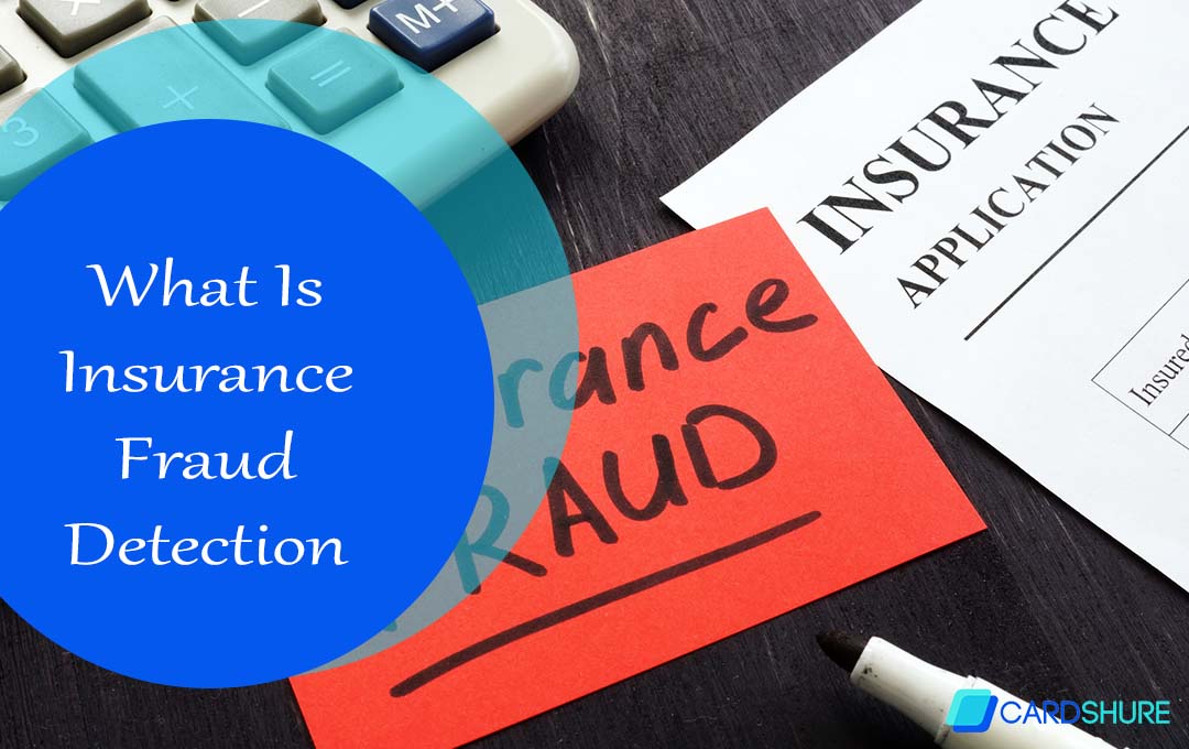 What Is Insurance Fraud Detection